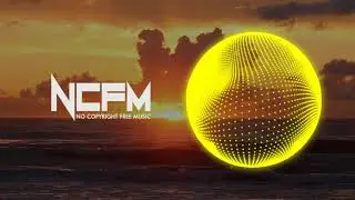 stereojammusic - dream about you NCFM