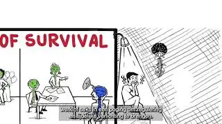 (Dutch)Trauma and the nervous system a Polyvagal perspective with Dutch subtitles.