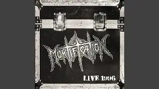 Steve Talks 4 (Live)