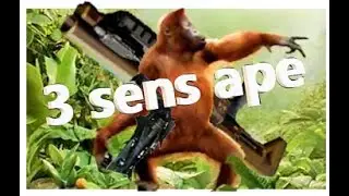 Destiny 2  Controller Player On 3 Sens  🦍😂