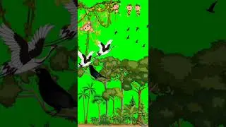 forest background 