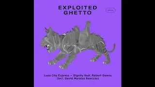 Luna City Express - Dignity feat. Robert Owens (David Morales Red Zone Remix)