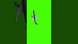 Airplane Large  Green Screen 