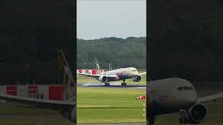 @etihad x Warner Bros Boeing 787 landing at Schiphol Airport #planespotting #aviation #shorts