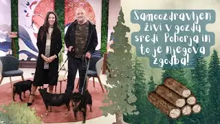 Samoozdravljen živi v gozdu sredi Pohorja in to je njegova zgodba! Klemen Piber