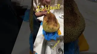 Jackfruit one of our exotic fruit in Jamaica and other countries.  #jackfruit #jackfruitcutting