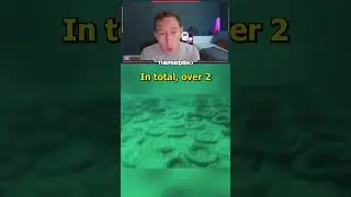 Florida's Tire Reef Attempt Failed!