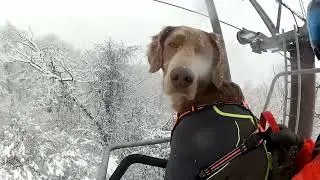 愛犬とリフトに乗って