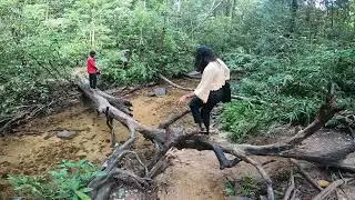 поездка к водопаду...случайно
