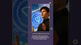 Telegram's Cryptocurrency: Toncoin A Web3 Success Story #news #telegram #crypto #ton #web3explained