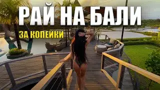Топовые места на Бали за копейки. Рисовые террасы, медитационный центр, Убуд.