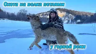 Ищем волчью стаю,охота петлями вдоль горной реки