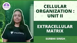 Extracellular Matrix - Cellular Organization: II | CSIR NET  2021🎯By Surbhi Singh