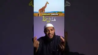 Guess the Arabic word Ep. 15 | Arabic Quiz