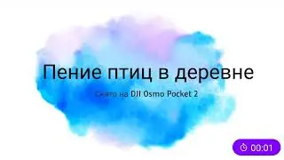 Пение птиц в деревне Мосеевское