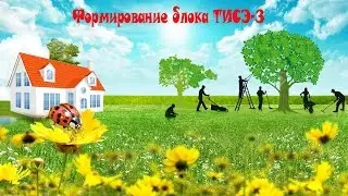 ФОРМИРОВАНИЕ БЛОКА ТИСЭ-3