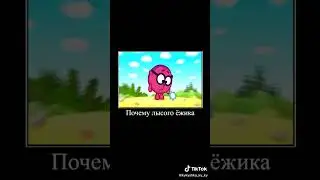 АНЕКДОТЫ ПРО ЁЖИКОВ