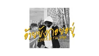 อ้ายนี้ยังกอยอยู่ - เบื้อก | แม่หญิงเมืองกรุงมาป๊ะมาปรุงเนื้อเวียงเชียงใหม่ | Cover by The Days