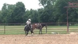 Duchess: Arena Work 30 June 2021 #5