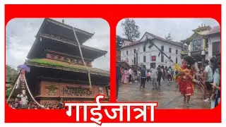 गाईजात्रा  ( काठमाडौंमा र भक्तपुरको एकैसाथ )