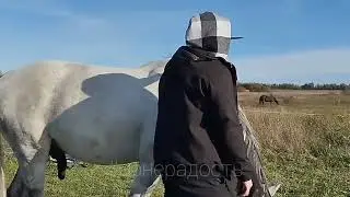 Павел и Фаир. Занятие с лошадью на свободе, осень 2024
