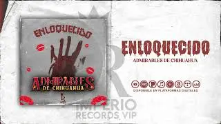 Enloquecido - Admirables De Chihuahua (Audio Oficial) • Imperio Records VIP 2023👑🍀