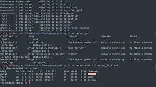 Docker in Development - Docker and File Permissions