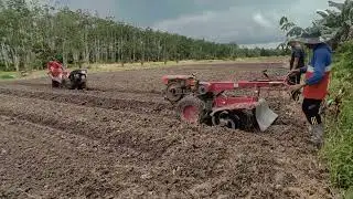 Cara pembuatan bedengan menggunakan mesin  traktor rotari untuk tanaman #caberawit