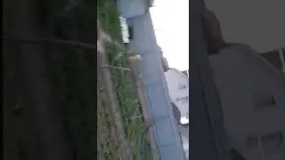 4 мая 2017 г.