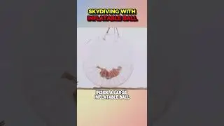 In The Event Of A Plane Crash, Can Hiding In An Inflatable Ball Save Your Life? #shorts