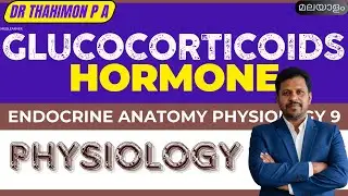 Glucocorticoids Physiology Cortisol Adrenal Cortex hormones Malayalam Corticosteroid Malayalam
