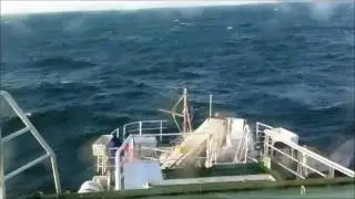 Atlantic_cougar