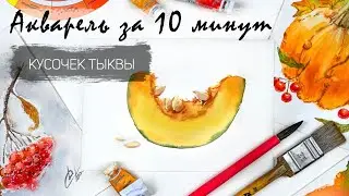 Рисуем кусочек тыквы акварелью за 10 минут. Быстрые зарисовки. Акварель для новичков