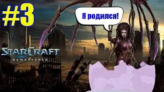 ИНКУБИРУЕМ КОРОЛЕВУ КЛИНКОВ или прохождение StarCraft #3
