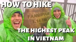HOW TO HIKE THE HIGHEST PEAK IN VIETNAM | Mount Fansipan | Sapa Day 3 | Travel 2022 | Vlog #52 |NEXT