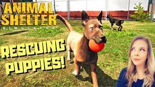 SAVING PUPPIES & KITTENS - Animal Shelter Simulator Prologue - Live PC Gameplay