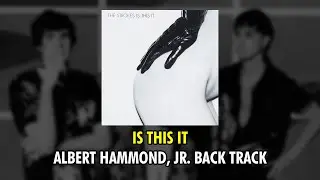 The Strokes- IS THIS IT | Albert Hammond, Jr. Back track