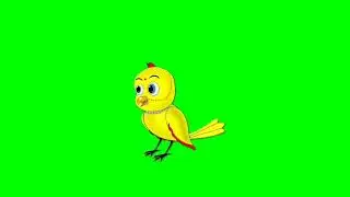 Tuni chidiya bird cartoon green screens 107 background character no copyright birds flying talking