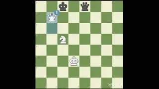 Цугцванг  в шахматах 