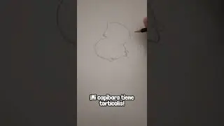 TRYING TO DRAW A CAPYBARA