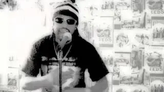 Reggae International