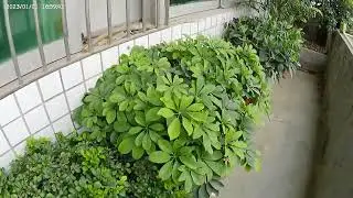 AT-Q60TR sports camera Real shot effect video