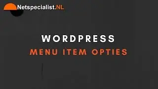 wordpress menu item opties