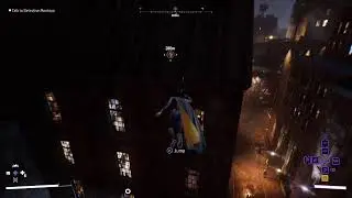 Gotham Knights: Batlady