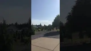 Forest Fire Alert 6/1/2023