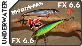 Игра MEGABASS FX 6.6 против FX 6.6 SUSPENDER под водой.  Action underwater