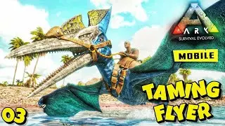 To tame a Pteranodon in ARK Mobile
