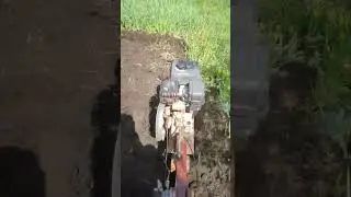 стабилизация, уровень бох