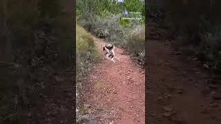 звук моих друзей когда наступает пятница