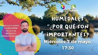 Humedales ¿Por que son importantes?